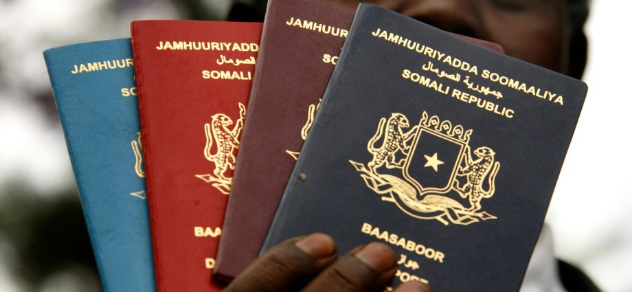 new-somalia-e-visa-security-flaw-puts-personal-data-of-thousands-at-risk