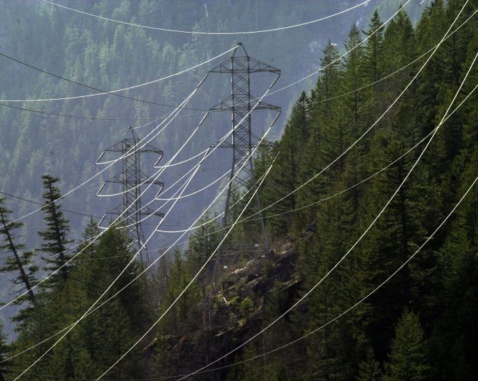 the-traitor’s-energy-secretary-orders-a-washington-state-coal-plant-to-remain-open