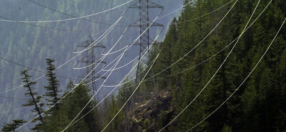 the-traitor’s-energy-secretary-orders-a-washington-state-coal-plant-to-remain-open