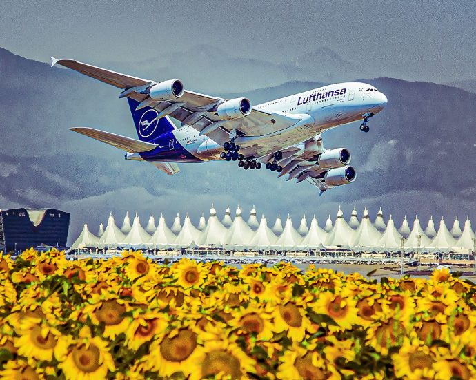 why-is-denver-home-to-some-of-the-longest-runways-in-the-world?