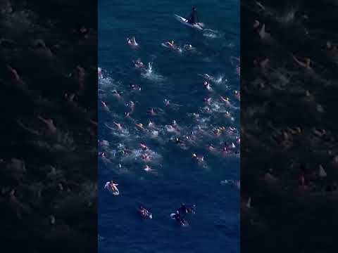 hundreds-honor-victims-at-bondi-beach-paddle-out-|-reuters