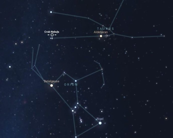 betelgeuse-and-the-crab-nebula:-stellar-death-and-rebirth