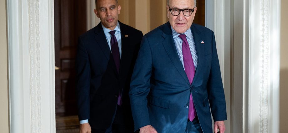 affordability-isn’t-a-“silver-bullet”-for-democrats