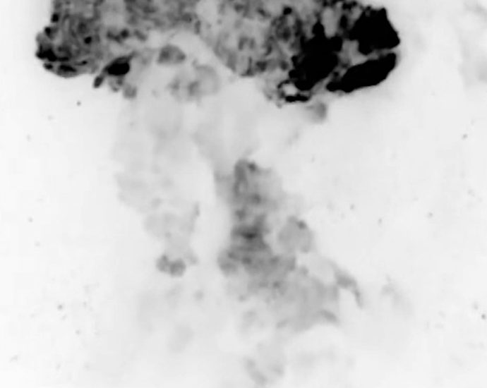 video-released-of-strikes-on-isis-in-syria