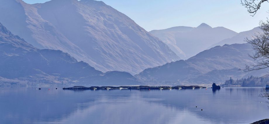 ‘they-don’t-give-a-damn’:-scotland’s-highland-communities-tire-of charm-offensive-by-‘polluting’-salmon-giant-mowi