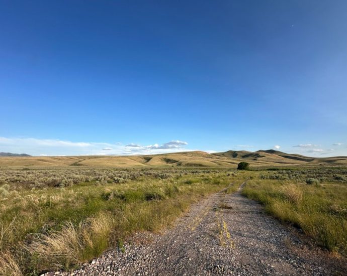 In the Vast Expanses of Indian Country, Broadband Gaps Create Health Gaps, Too