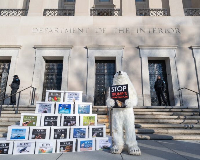 how-proposed-changes-to-the-endangered-species-act-could-further-threaten-the-country’s-imperiled-species