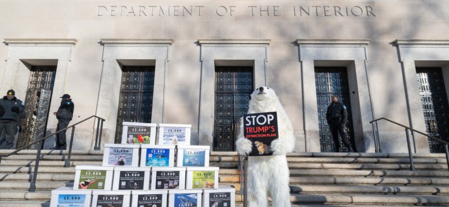 how-proposed-changes-to-the-endangered-species-act-could-further-threaten-the-country’s-imperiled-species