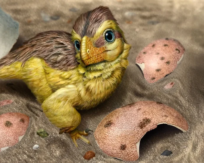 scientists-found-a-hidden-clock-inside-dinosaur-eggshells