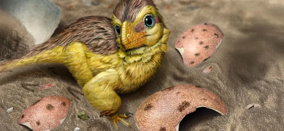 scientists-found-a-hidden-clock-inside-dinosaur-eggshells