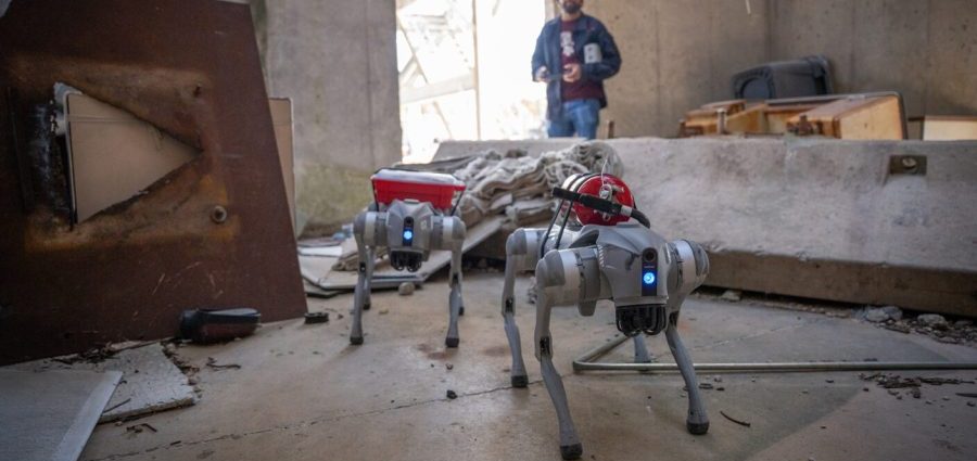 texas-a&m-engineering-students-build-robotic,-ai-powered-dog-to-help-with-emergency-response