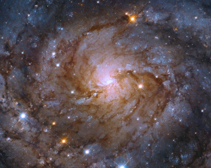 f.6-science-activation:-corrections-of-requirements-for-budget-submission