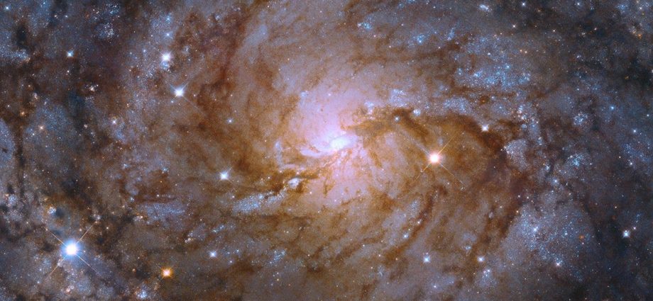 f.6-science-activation:-corrections-of-requirements-for-budget-submission