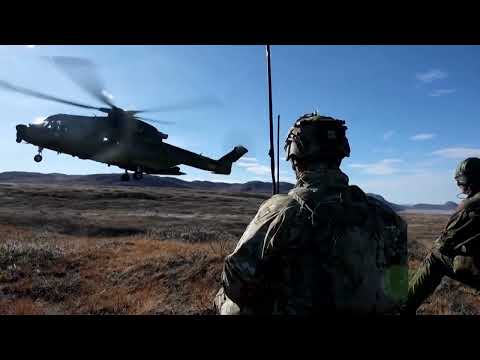 the-traitor-appoints-special-envoy-to-greenland,-stirs-backlash-|-reuters