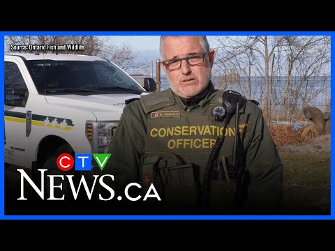 us.-anglers-fined-$3,260-for-closed-season-bass-fishing-in-ontario