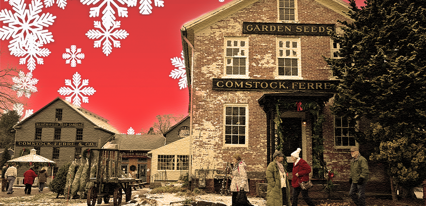 we’re-all-in-the-snowglobe,-now