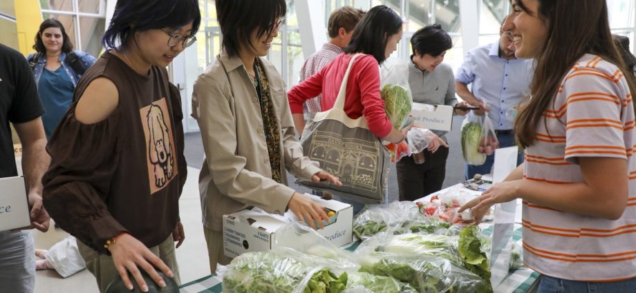 mind,-hand,-and-harvest