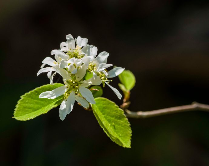 lessons-on-scaling-gift-economies—and-how-it-can-help-the-planet