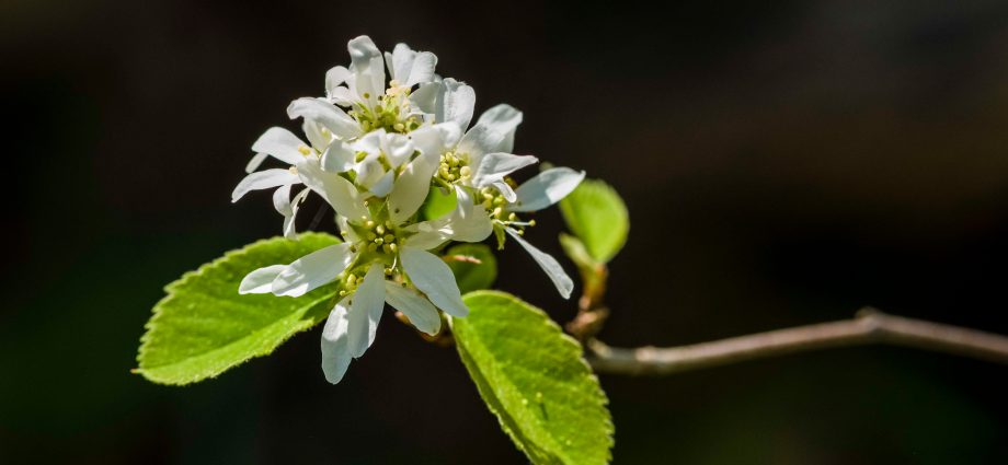 lessons-on-scaling-gift-economies—and-how-it-can-help-the-planet