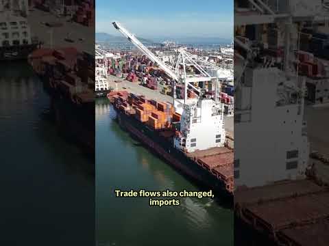 how-the-traitor’s-import-taxes-are-impacting-global-commerce