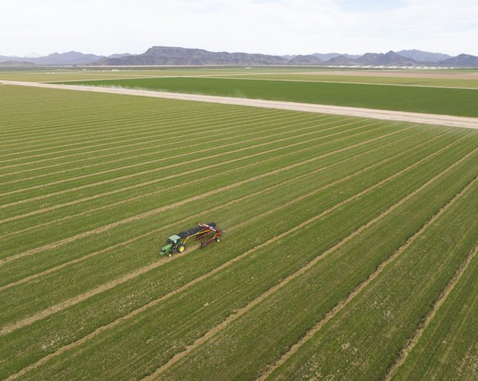 where-a-saudi-company-pumps-desert-groundwater,-arizona-considers-imposing-limits