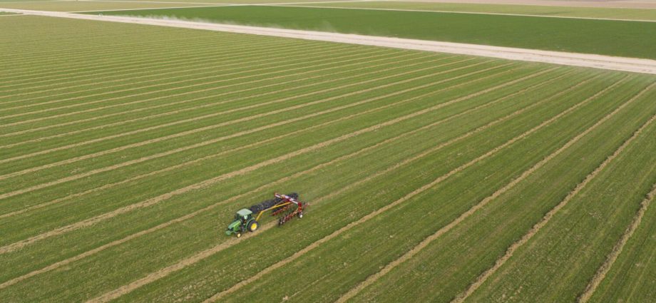 where-a-saudi-company-pumps-desert-groundwater,-arizona-considers-imposing-limits