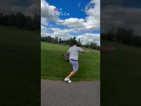 golf-course-brawl-involving-former-nhler:-2025-in-review