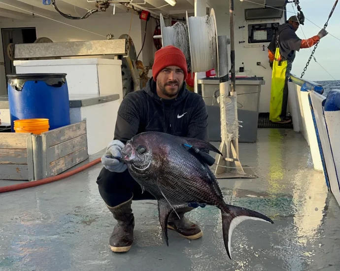 the-deep-ocean-has-a-missing-link-and-scientists-finally-found-it