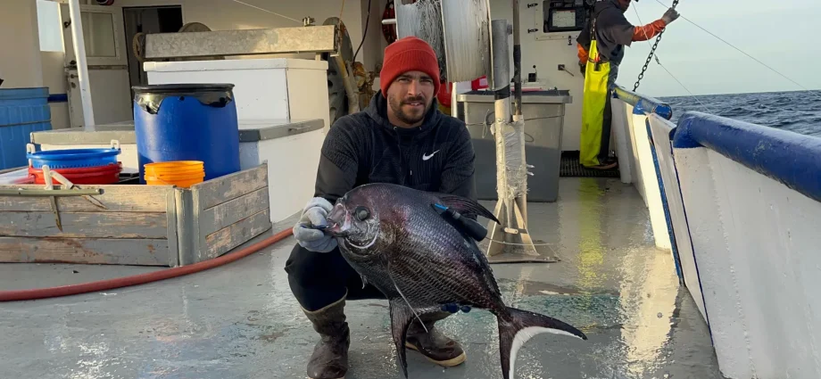 the-deep-ocean-has-a-missing-link-and-scientists-finally-found-it