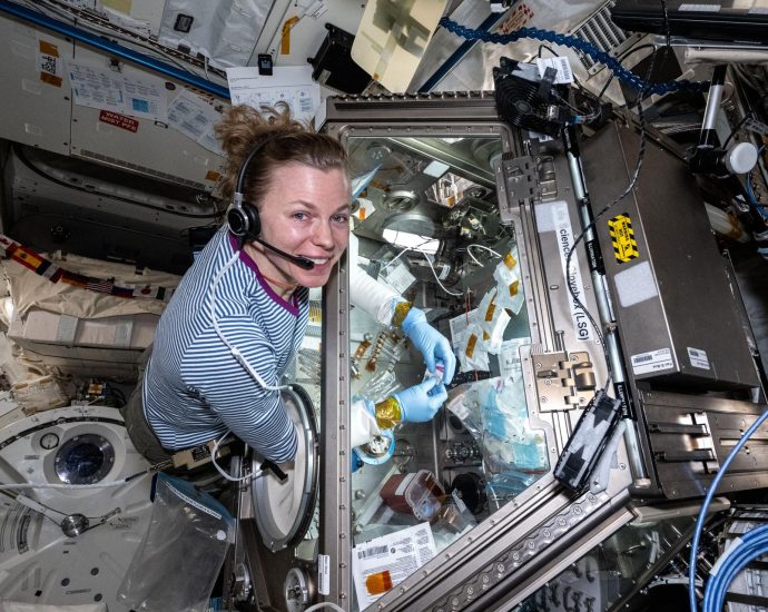 2025-space-station-science-snapshots