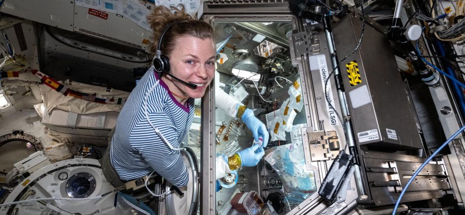 2025-space-station-science-snapshots