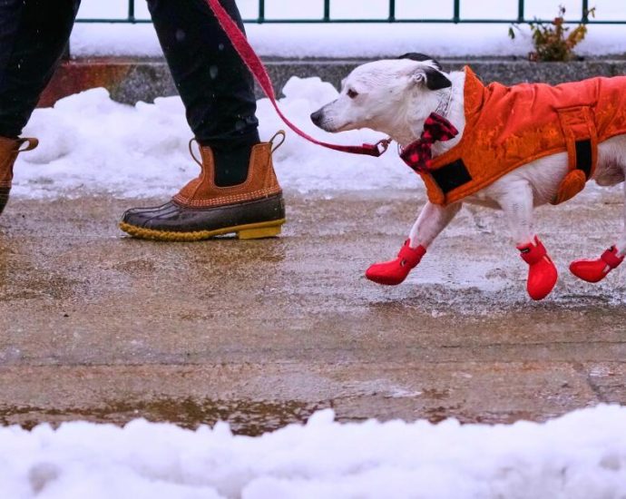 a-bomb-cyclone-brings-blizzards-to-the-midwest-before-turning-east