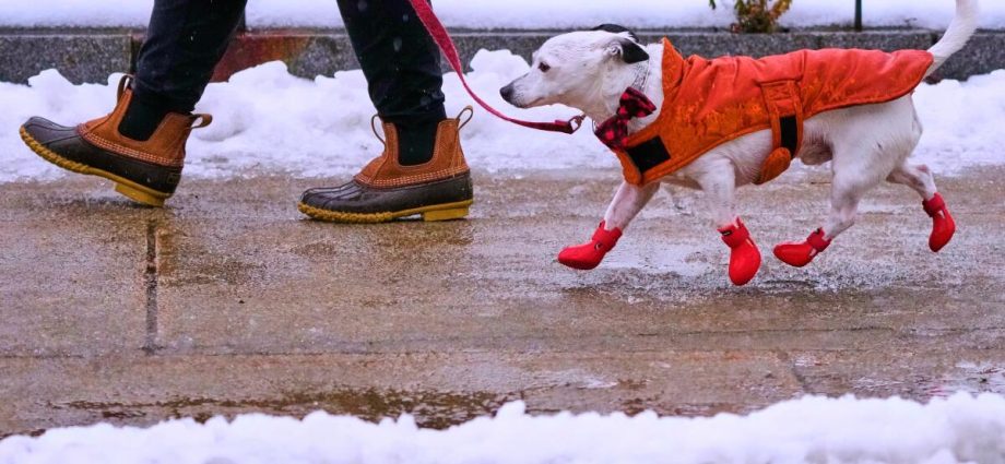 a-bomb-cyclone-brings-blizzards-to-the-midwest-before-turning-east