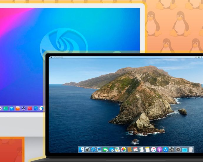 4 interesting Linux distributions that first appeared in 2025