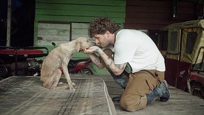 german-influencer-on-new-year’s-fireworks:-‘we’re-collectively-causing-animal-suffering’