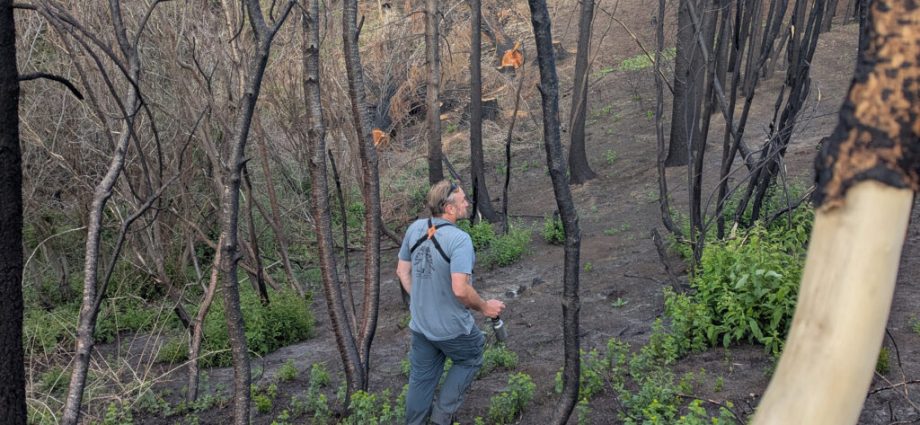 an-idaho-bird-research-station-rises-from-the-ashes-of-a-wildfire