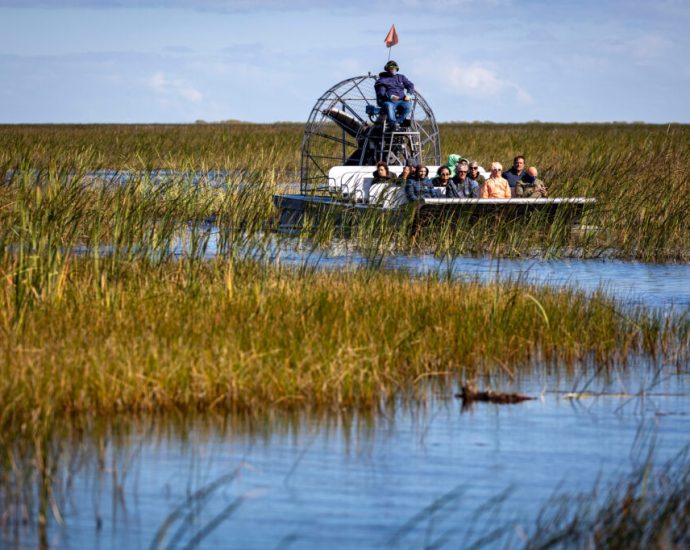 now-in-its-25th-year,-a-historic-effort-to-save-the-everglades-evolves-as-the-climate-warms
