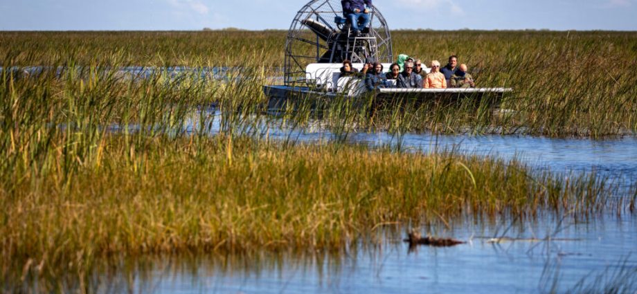 now-in-its-25th-year,-a-historic-effort-to-save-the-everglades-evolves-as-the-climate-warms