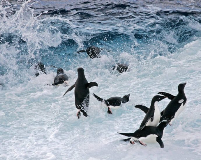 linux-6.18-arrives-as-the-year’s-final-drop-and-likely-next-lts