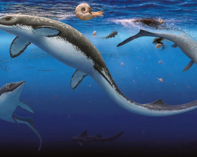 earth’s-worst-extinction-was-followed-by-a-shockingly-fast-ocean-comeback