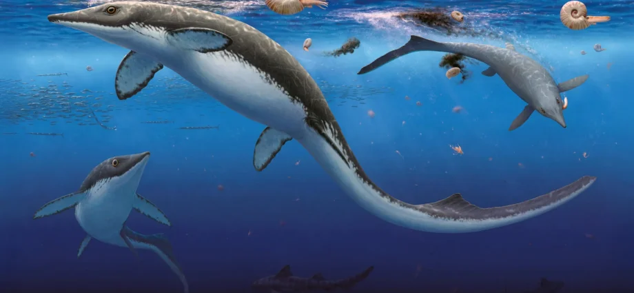 earth’s-worst-extinction-was-followed-by-a-shockingly-fast-ocean-comeback