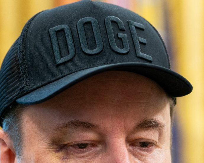 can-an-old-doge-learn-new-tricks?