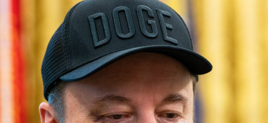 can-an-old-doge-learn-new-tricks?