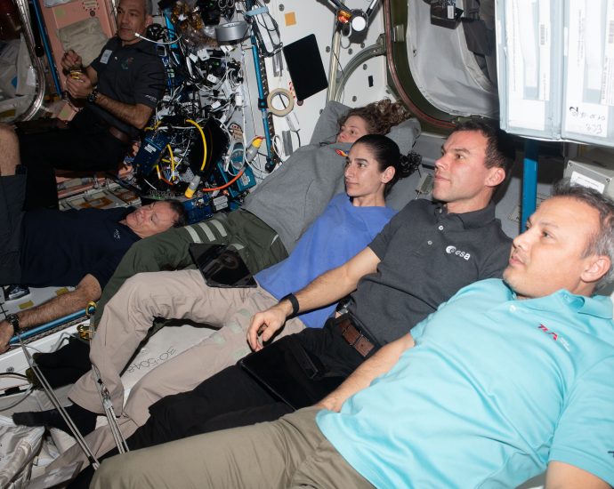 fundamentals-of-human-health