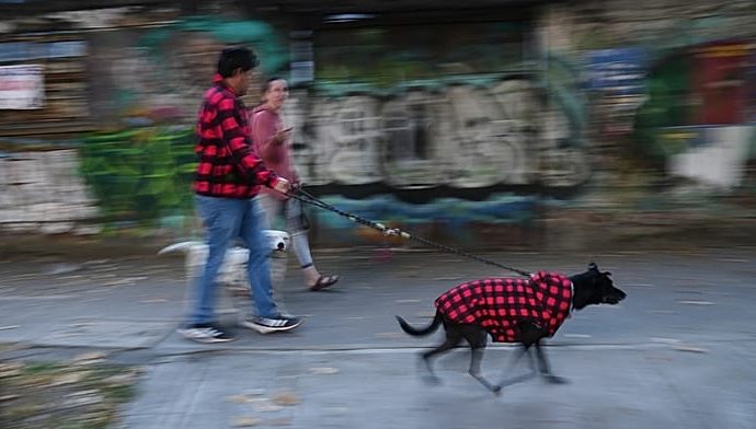 earthquake-with-a-preliminary-magnitude-of-6.5-rattles-southern-and-central-mexico