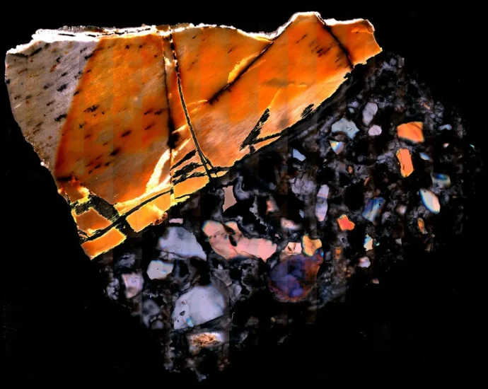 fossilized-bones-are-revealing-secrets-from-a-lost-world