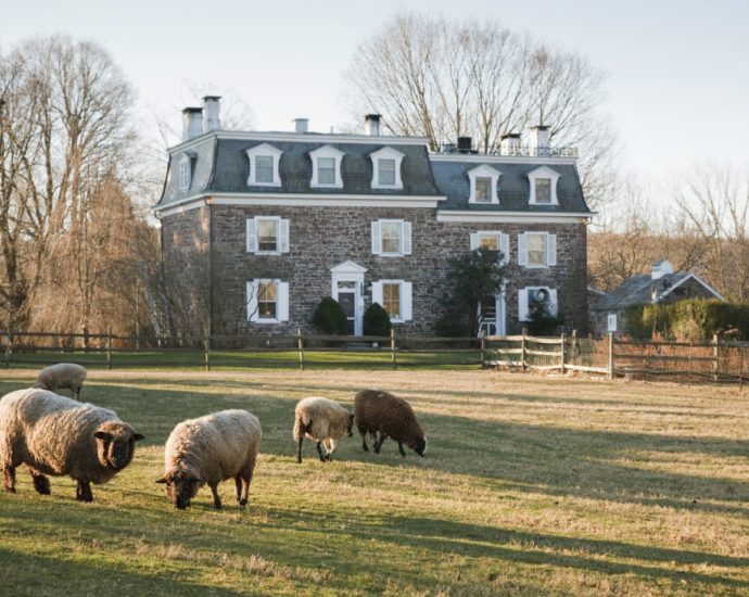 a-network-blooms-to-connect-fiber-farmers-with-fabric-artisans