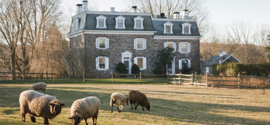 a-network-blooms-to-connect-fiber-farmers-with-fabric-artisans