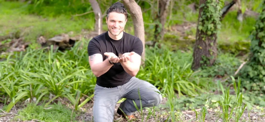 the-invisible-microbes-that-help-keep-us-healthy