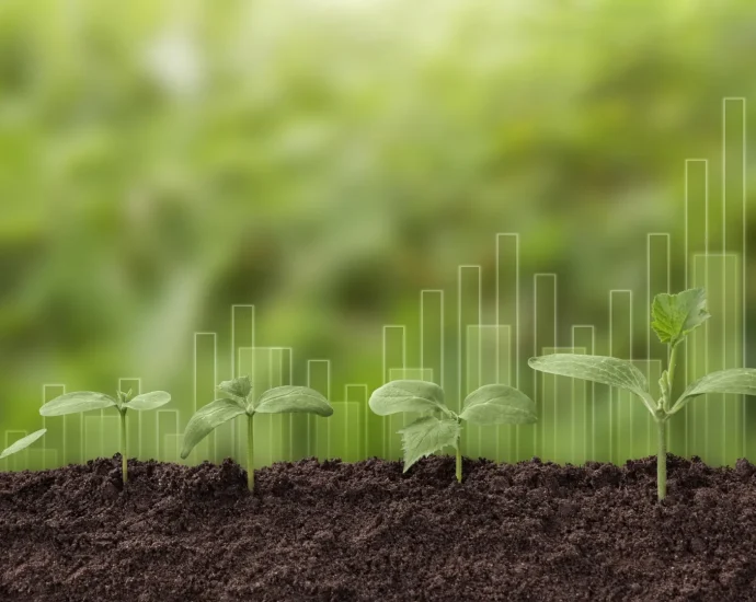 plants-can’t-absorb-as-much-co2-as-climate-models-predicted